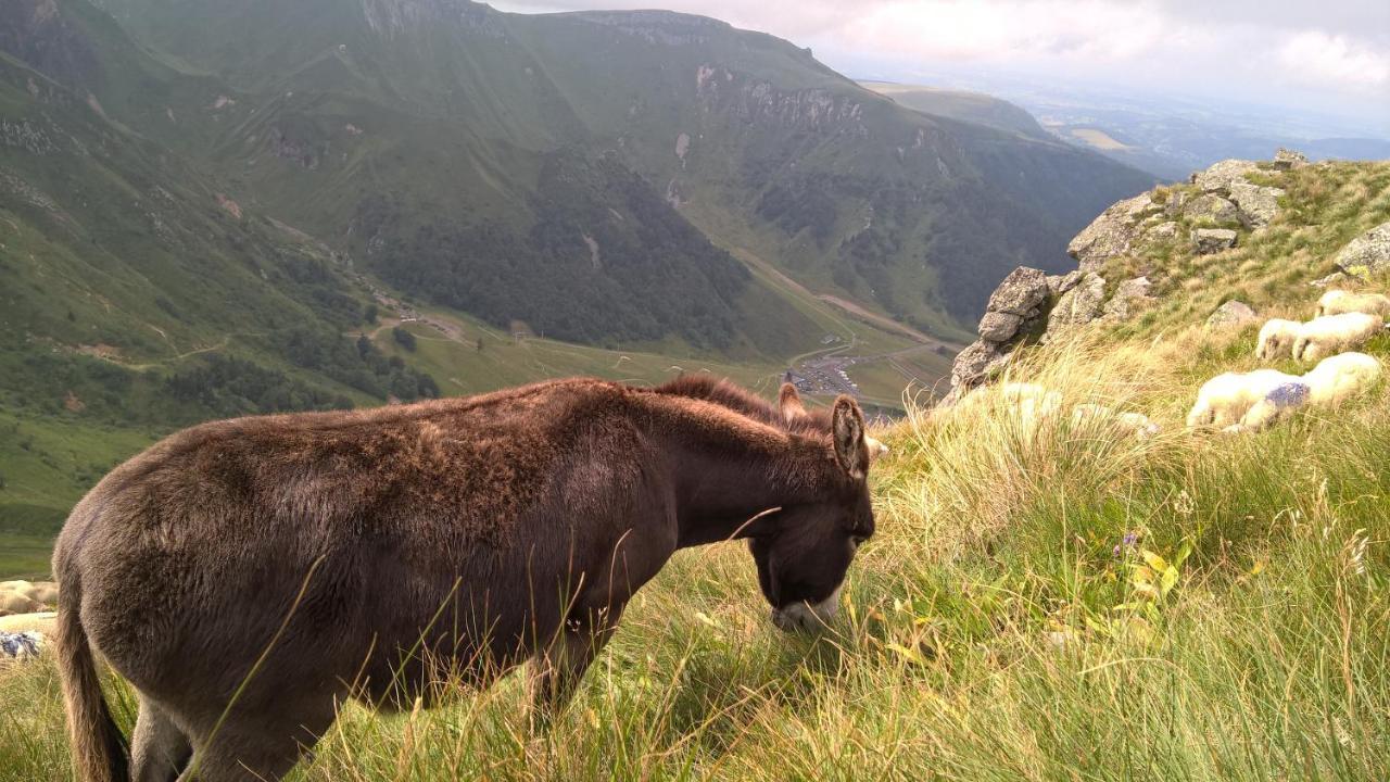 Camping Les Vernieres La Bourboule Sancy Bagian luar foto